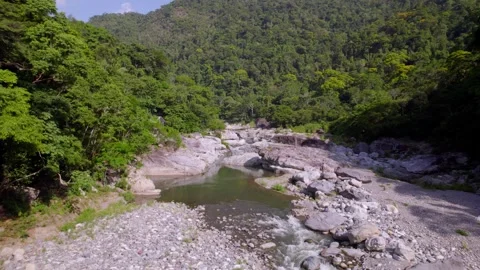 Rocky River Through Tropical Forest in Pico Bonito National Park Stock Footage 346388197