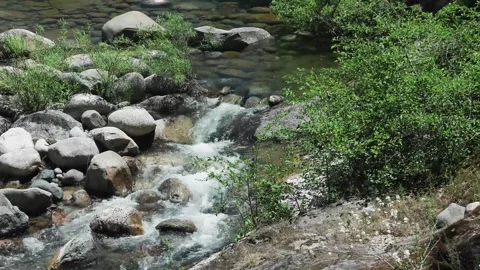A rocky river with trees in the background Stock Footage 156017703