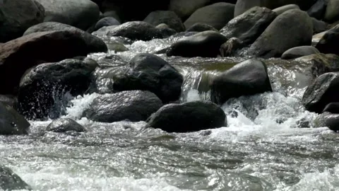 Rocky river view in tropical forest mountains Stock Footage 320955049