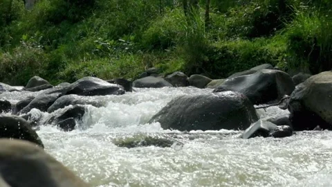 Rocky river view in tropical forest mountains Video stock 320955050