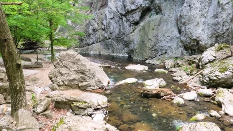 Rocky Riverbed: Gentle Stream Flows Through a Canyon Stock Footage 303975590