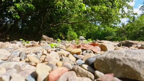 A rocky riverbed with large boulders under a canopy of trees. Stock-Footage 340168277
