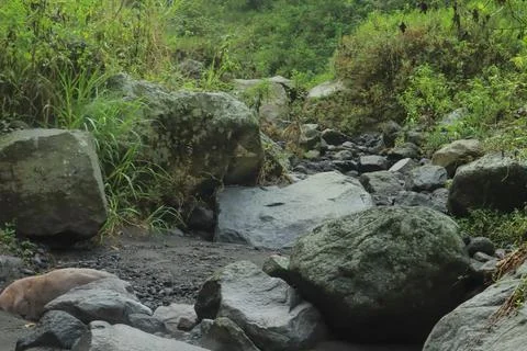 Rocky Riverbed Stock Photos