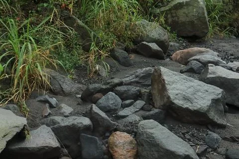 Rocky Riverbed Stock Photos