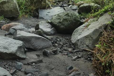 Rocky Riverbed Stock Photos