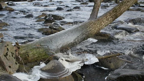 Rocky riverbed winter Stock Footage 121052969