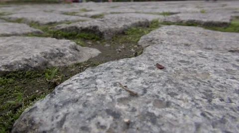 Rocky road close up Видео 45311526