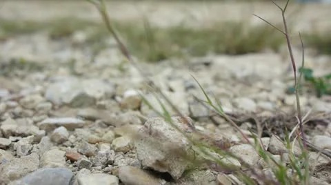 Rocky Road 스톡 동영상 12390417