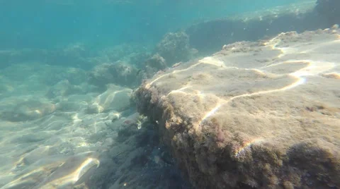 Rocky sea bed Stock Footage 56057687