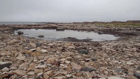 Rocky sea Stock Footage 81830435