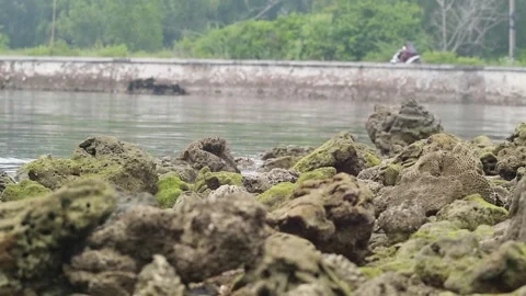 Rocky sea Stock Footage 187049058
