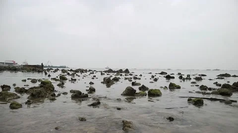 Rocky sea Stock Footage 187050011