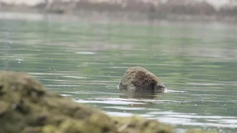 Rocky sea Stock Footage 187050907