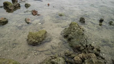 Rocky sea Stock Footage 187050909
