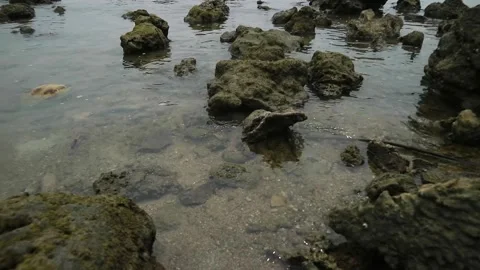 Rocky sea Stock Footage 187050916