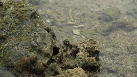 Rocky sea Stock Footage 187051863