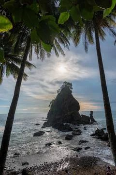 Rocky Sea Stack Framed by Coconut Trees Stock-Fotos