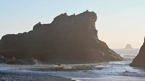 Rocky sea stack illuminated by golden light as waves crash along the rugged Stock Footage 313653679