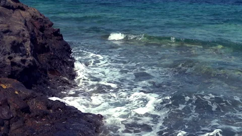 Rocky Seashore 動画素材 312986929