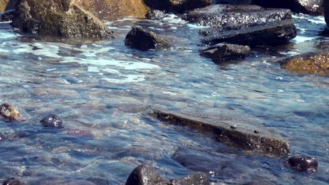Rocky Seashore 動画素材 312986949
