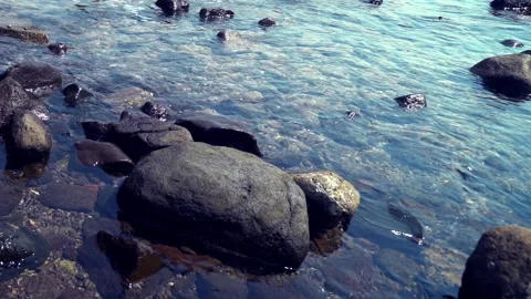 Rocky Seashore 動画素材 312987268