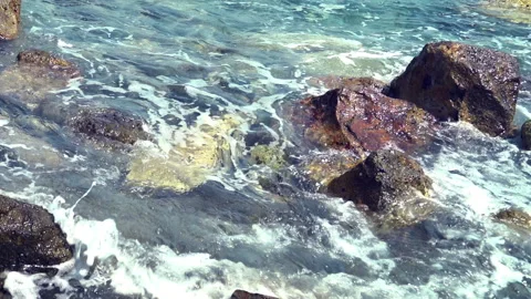 Rocky Seashore Stockbeeldmateriaal 312987691