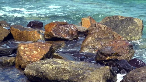 Rocky Seashore 動画素材 312987699