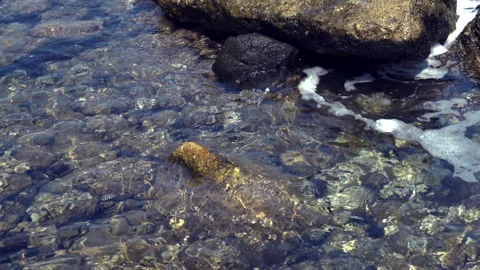 Rocky Seashore Vidéo 312987708