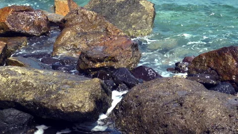 Rocky Seashore 動画素材 312987929