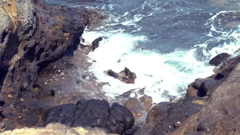 Rocky Seashore 動画素材 312989774