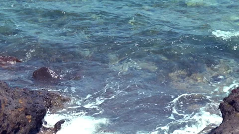 Rocky Seashore Video stock 312989777