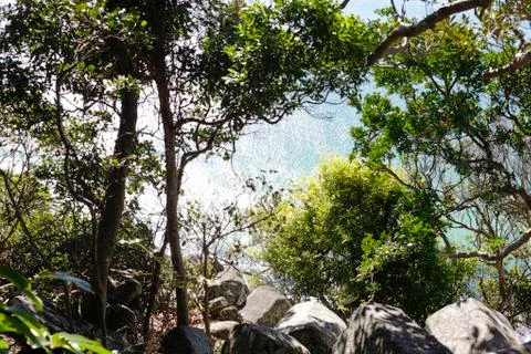 Rocky seashore through tree branches Stock Photos