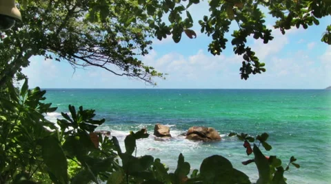 Rocky Seashore with tree branches in the foreground Stock Footage 60248346