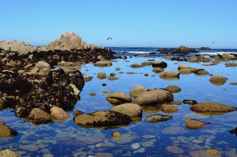 Rocky seaside Stock Photos