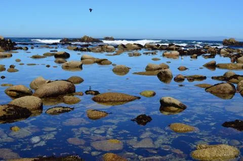 Rocky seaside Stock Photos