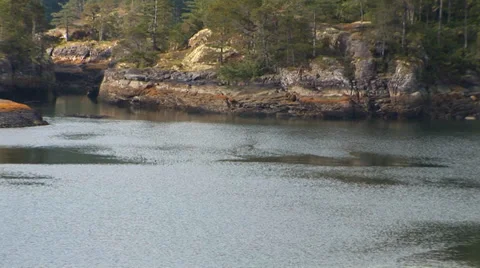 Rocky Shore in Canada Video stock 33604765