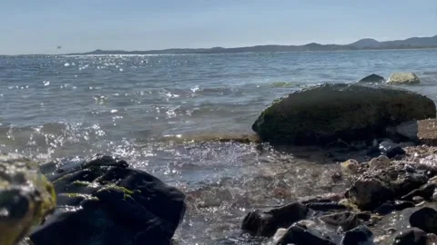 Rocky shore close up Video stock 235714194