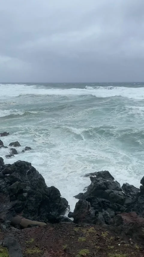 Rocky shore in Easter Island 動画素材 342836052