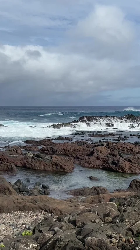 Rocky shore in Easter Island 库存影片 342837366