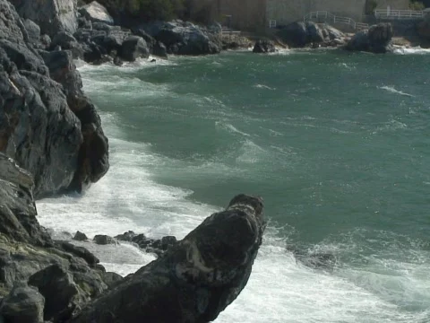 Rocky Shore Stock Footage 489977