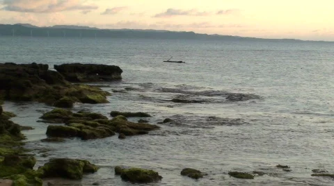 Rocky shore Stock Footage 637208