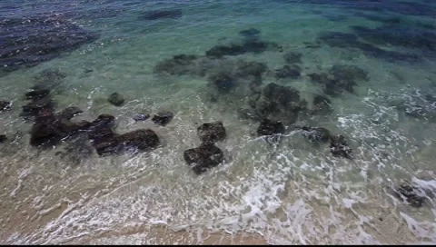 Rocky Shore Stock-Footage 8555293