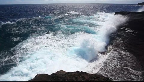 Rocky Shore Video stock 8555369