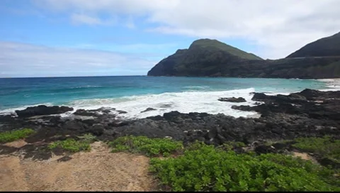 Rocky Shore Video stock 8555463