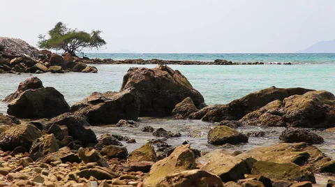 Rocky Shore Stock Footage 49544746