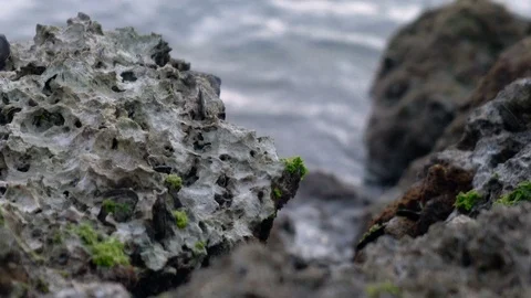 Rocky Shore Video stock 76141532