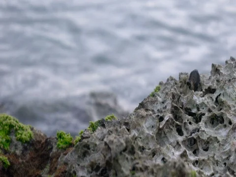 Rocky Shore Stock Footage 76141962