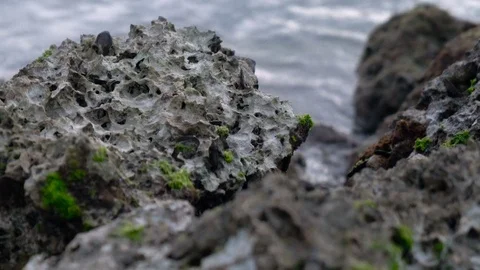 Rocky Shore Stock Footage 76142150