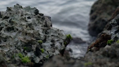 Rocky Shore Stock Footage 76142445
