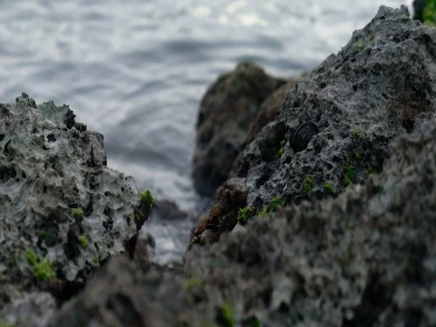 Rocky Shore Stock Footage 76142586